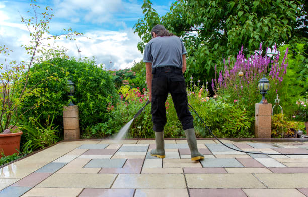 Best Driveway Pressure Washing  in Sicklerville, NJ